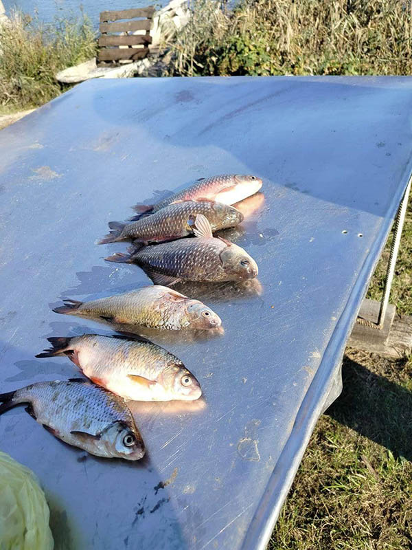 Рибалка без бар'єрів